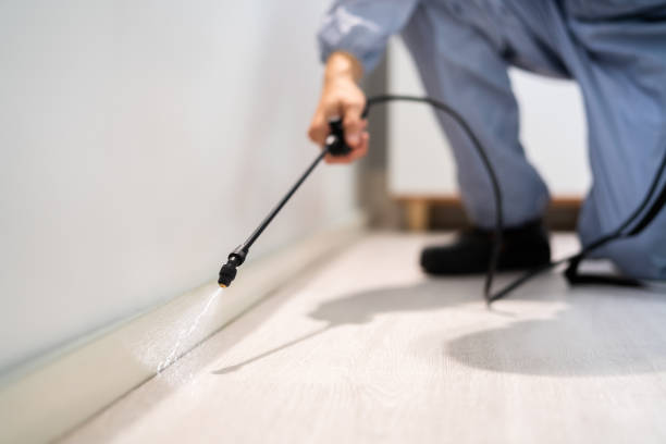 Licensed Pest Control service in Yarmouth Port, MA - Show Me Pest Control